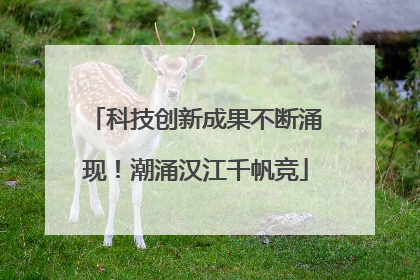 科技创新成果不断涌现！潮涌汉江千帆竞
